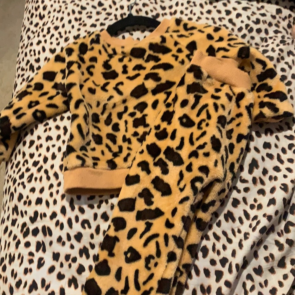 Leopard set
